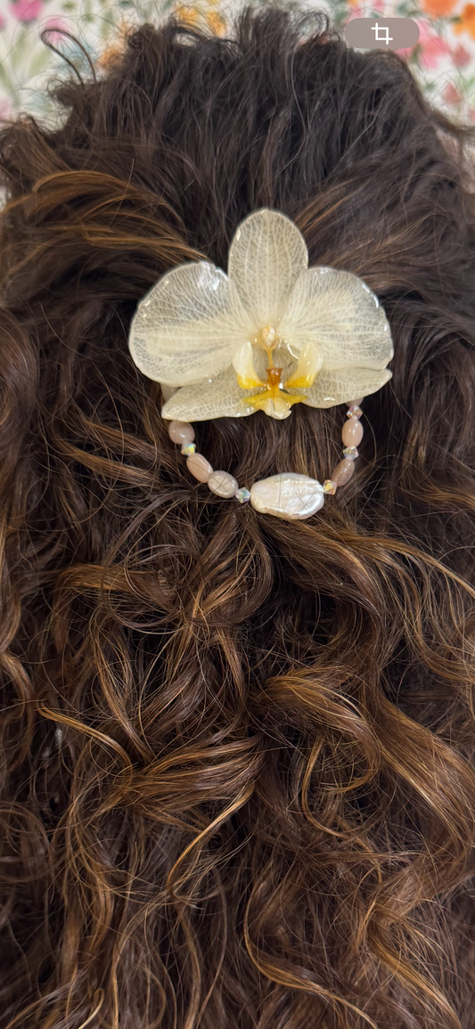 Clip Aduralia