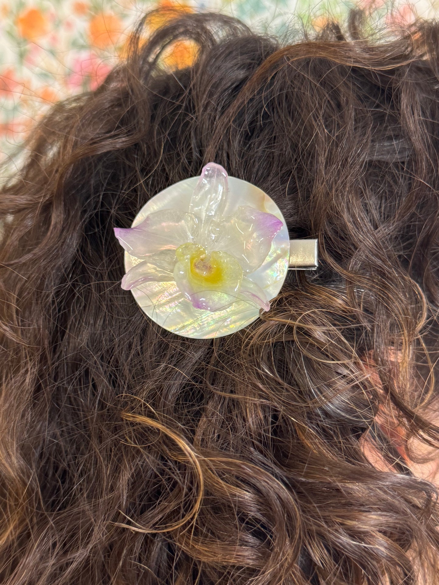 Clip Dendrobium Nácar