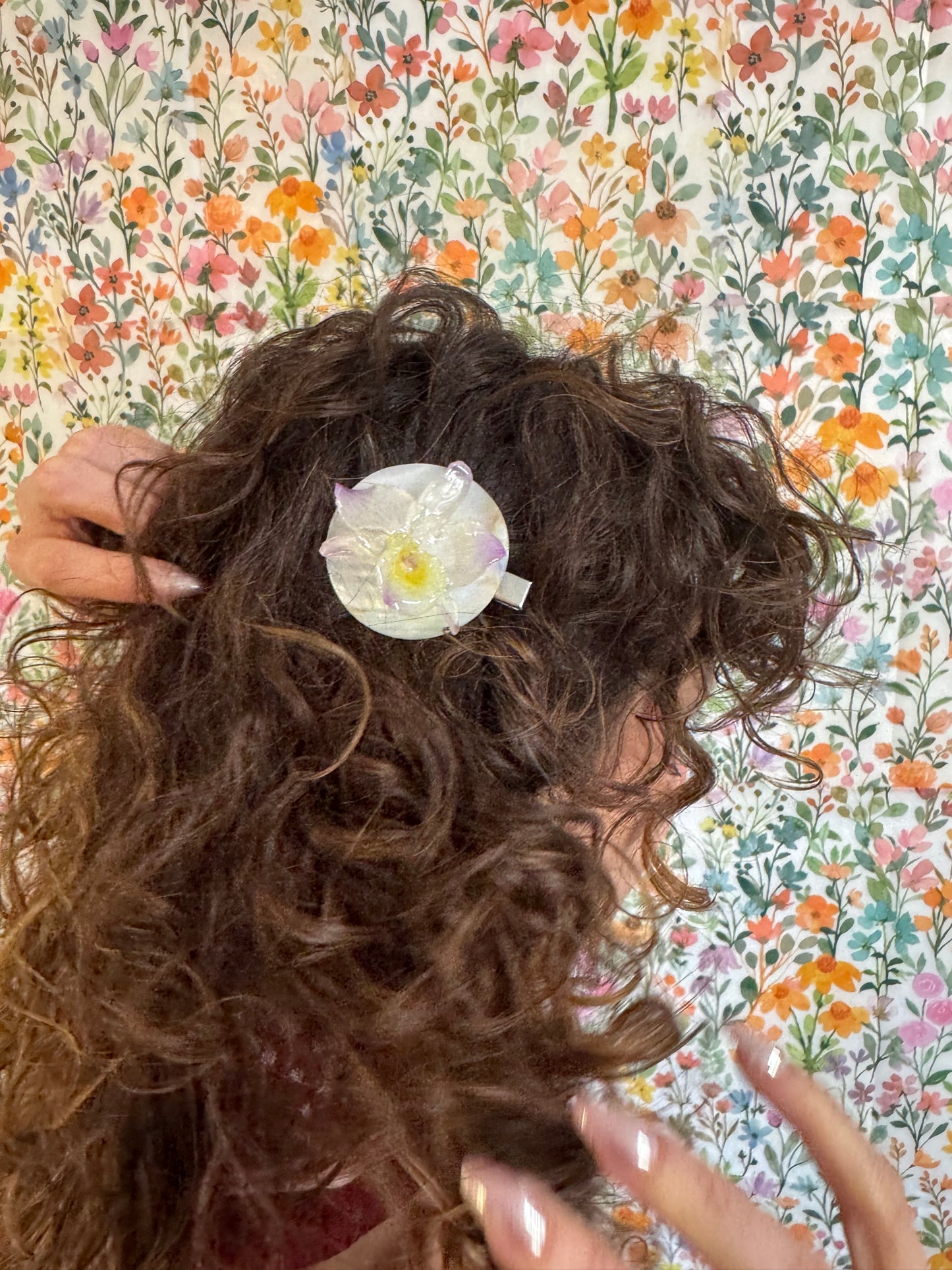 Clip Dendrobium Nácar