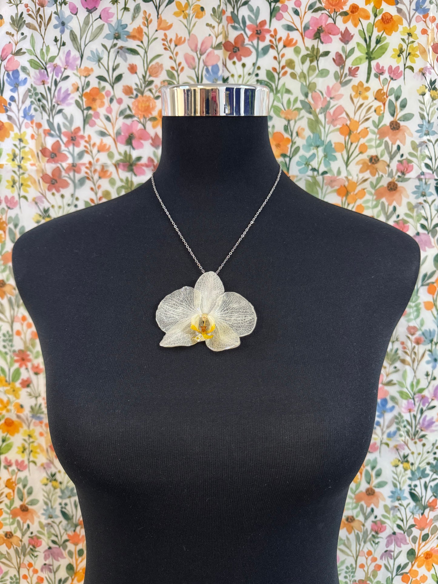 Collar bonita
