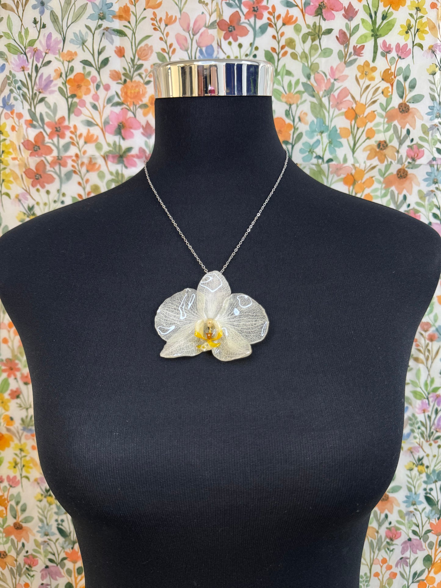 Collar bonita