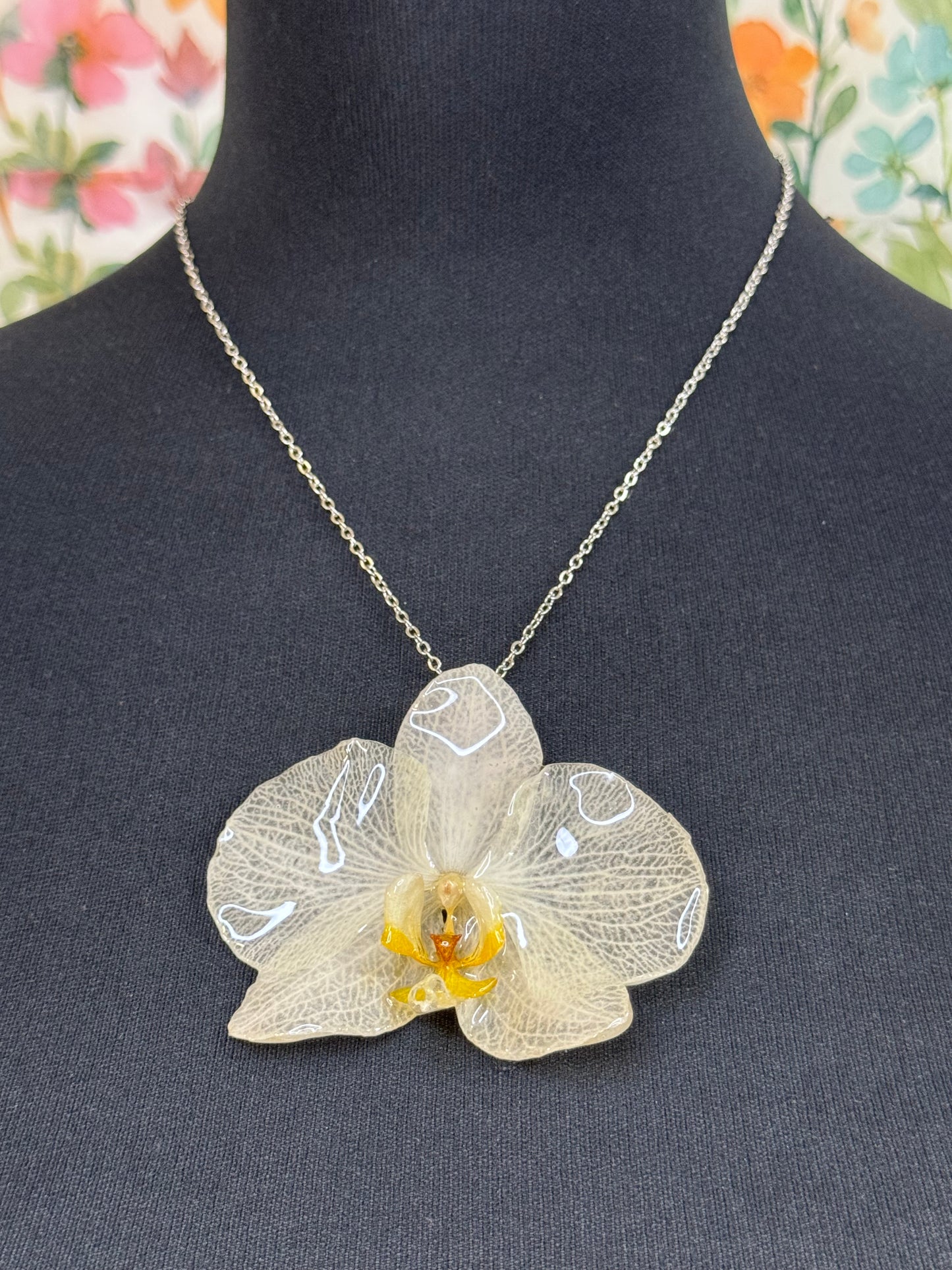 Collar bonita