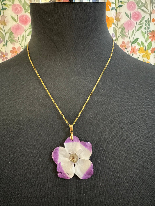 Collar Dulce Cyclamen